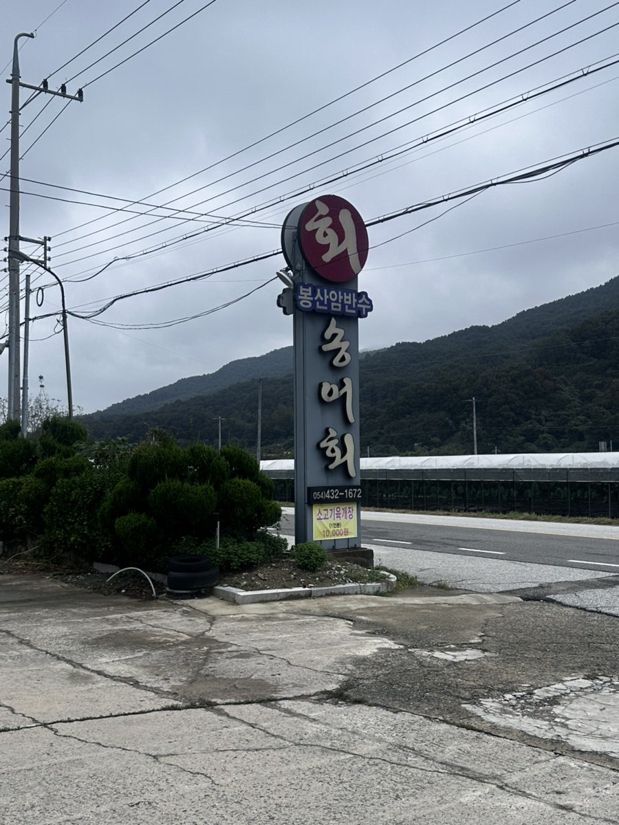 봉산암반수송어회 사진 3