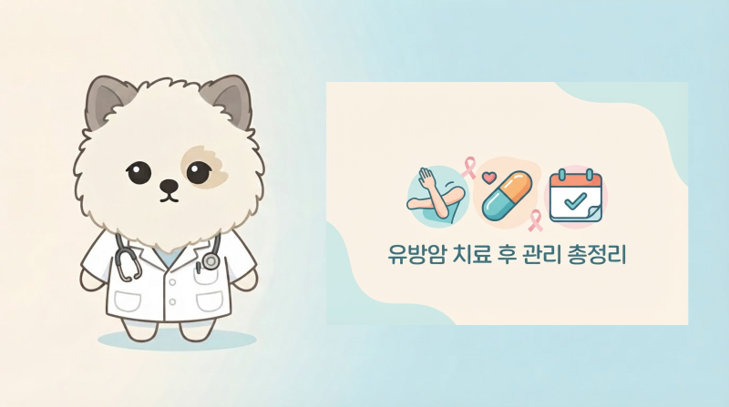 유방암 치료 후 관리 총정리, 재건·림프부종·호르몬치료·추적검사까지 (4편)