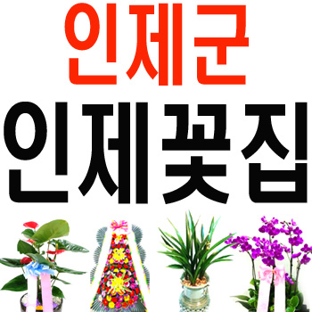 인제꽃집 사진 4