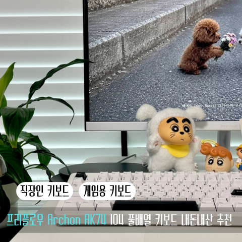 프리플로우 키보드 추천 아콘 AK74 B&W 내돈내산 구매 후기