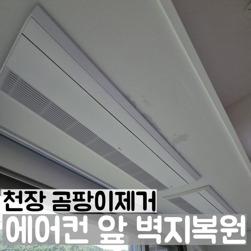 천장 에어컨 곰팡이제거 벽지 복원 부분도배