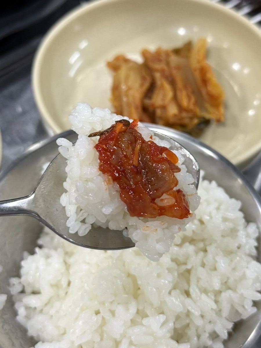 반갑다돼지야 사진 5