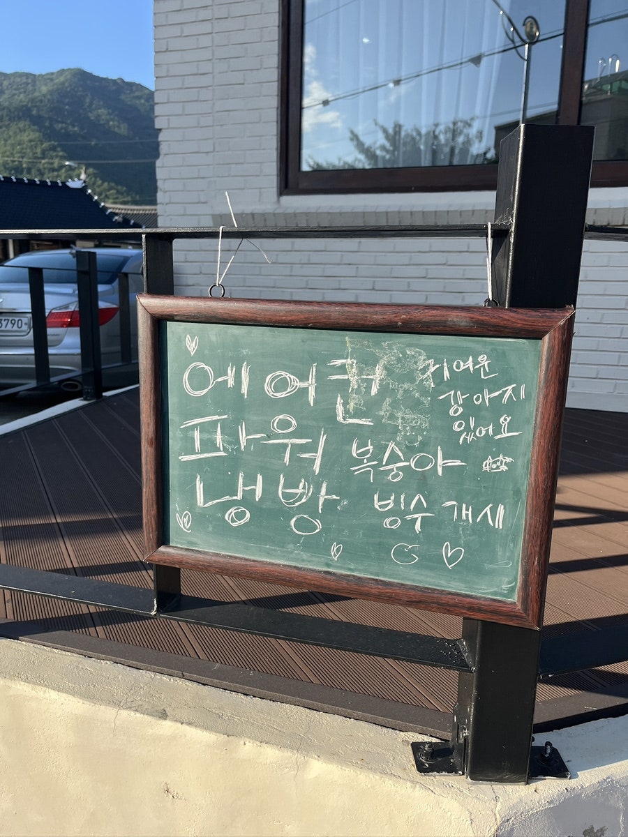 초효 사진 2