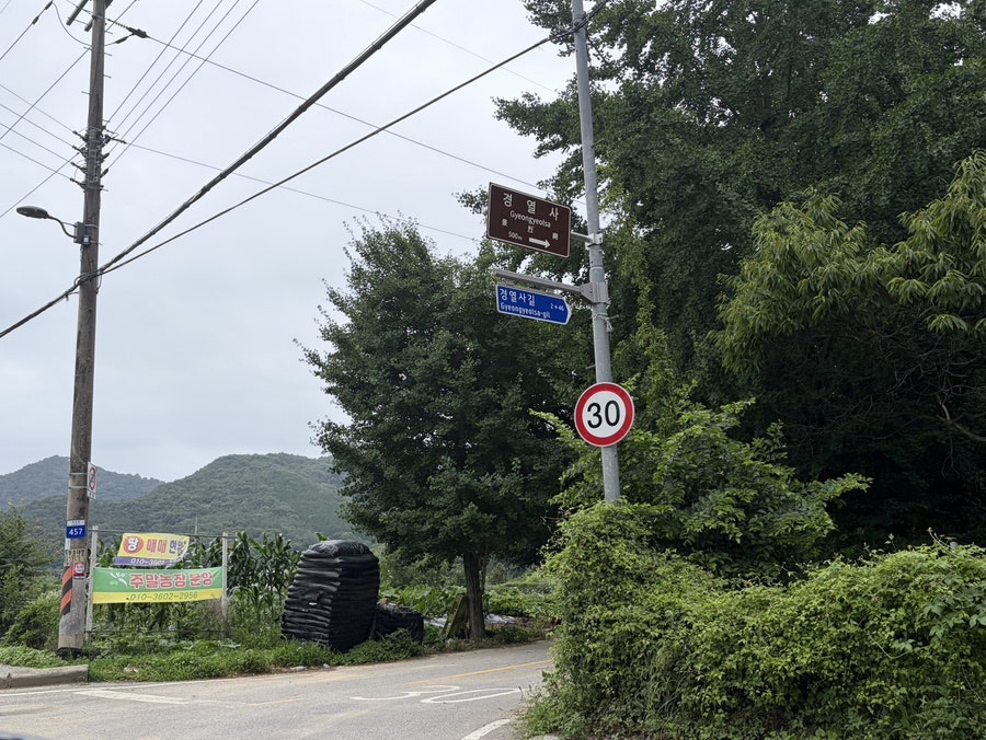 무궁화정 사진 2