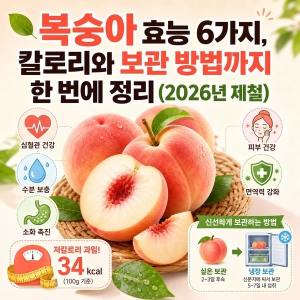 복숭아 효능 6가지, 칼로리와 보관 방법까지 한 번에 정리 (2026년 제철) 체크포인트
