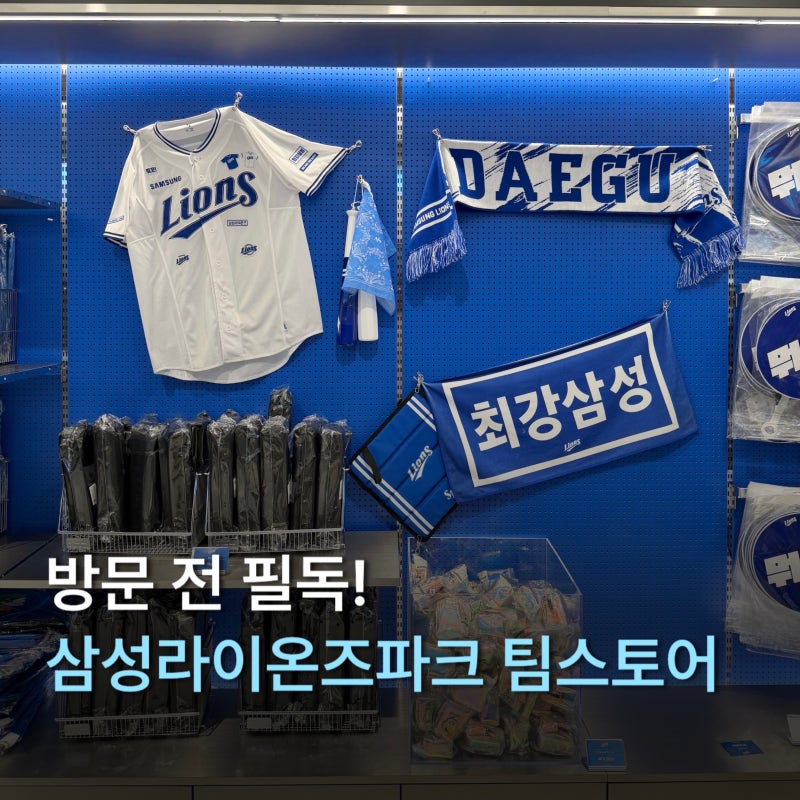 대구 삼성라이온즈파크 팀스토어 | 유니폼 마킹 위치 운영 시간 총정리