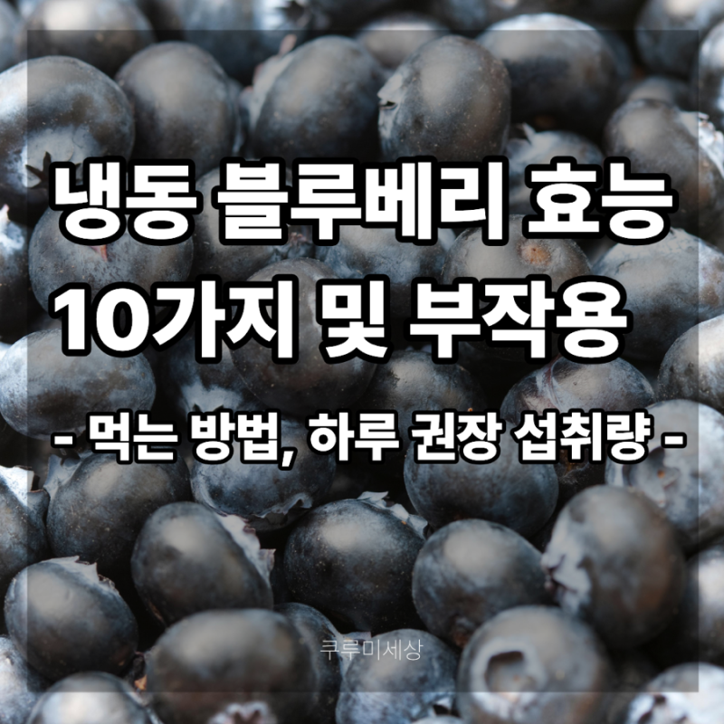 냉동 블루베리 10가지 효능 및 부작용, 먹는 방법, 하루 권장 섭취량