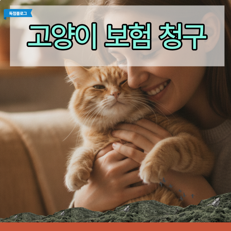 고양이 보험 청구 누락 방지 필수 체크리스트 방광염 치료비 40만원 돌려받은 후기!