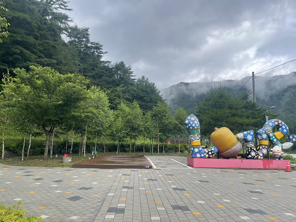 평창국민여가캠핑장 사진 6
