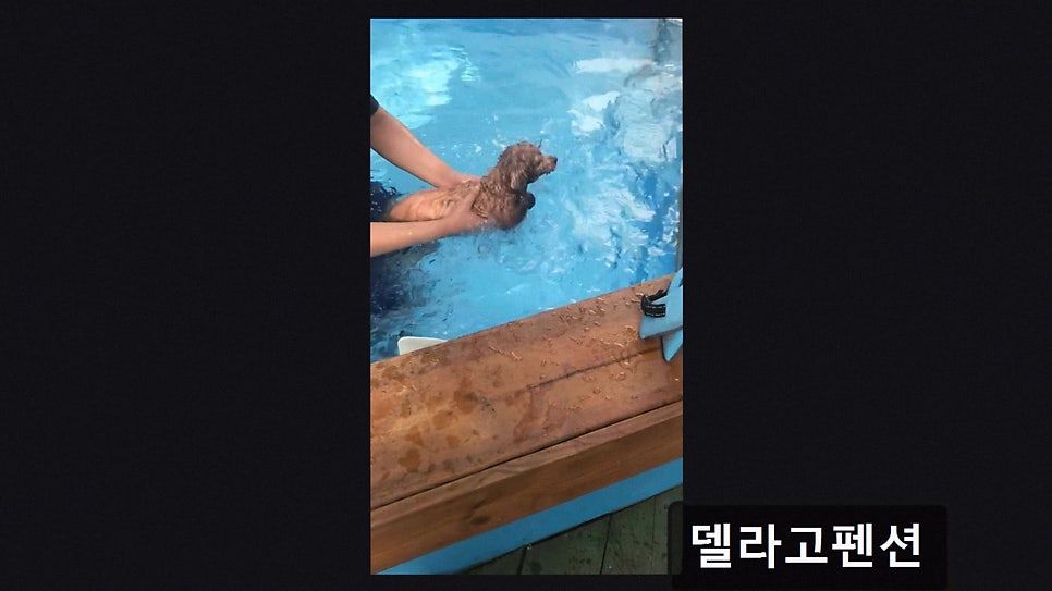 델라고펜션 사진 5