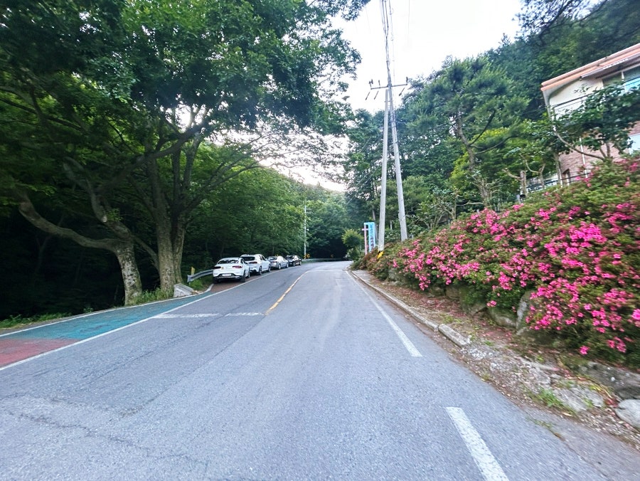 실로암펜션 사진 3