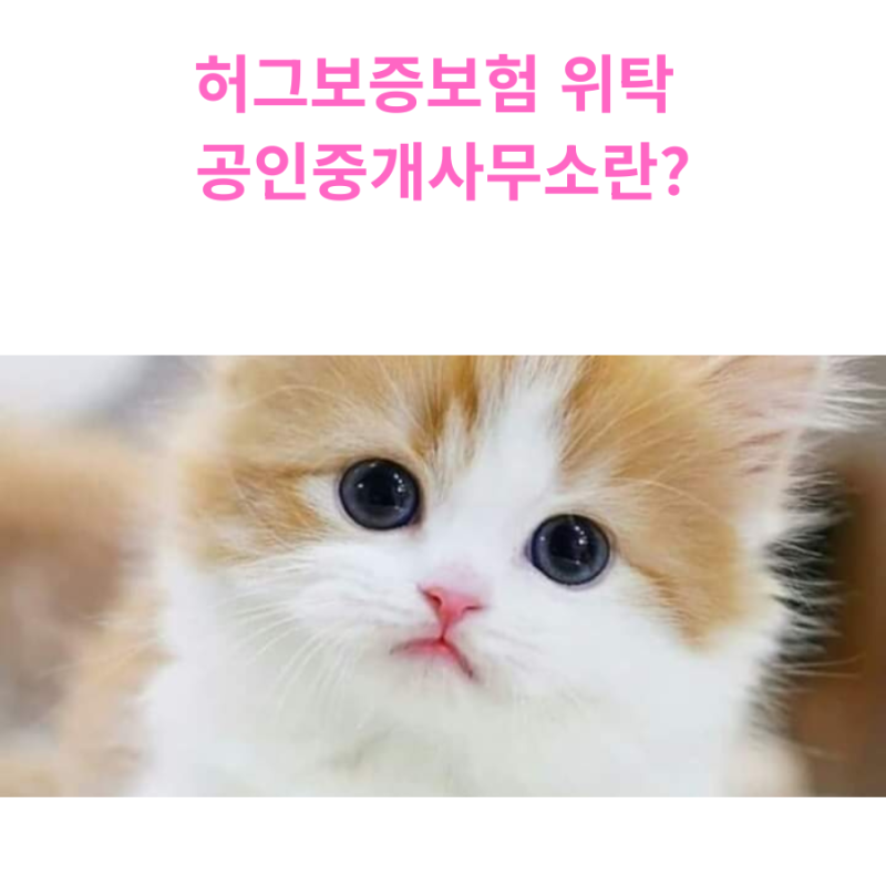 허그 보증보험 위탁 공인중개사무소란?