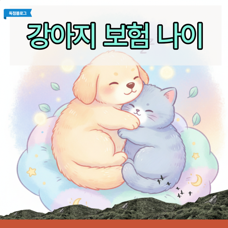 강아지 보험 나이 제한에 걸려 거절당하기 전 꼭 확인해야 할 3가지 노화 시그널