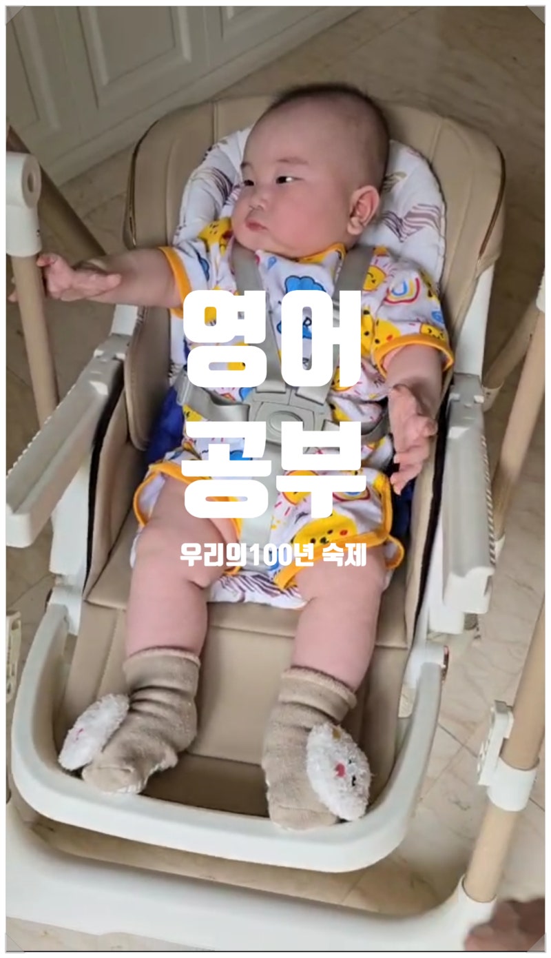 'For' vs 'Since' 완벽 구분! 기간과 시점, 헷갈리지 않는 가장 쉬운 방법 (표로 정리)