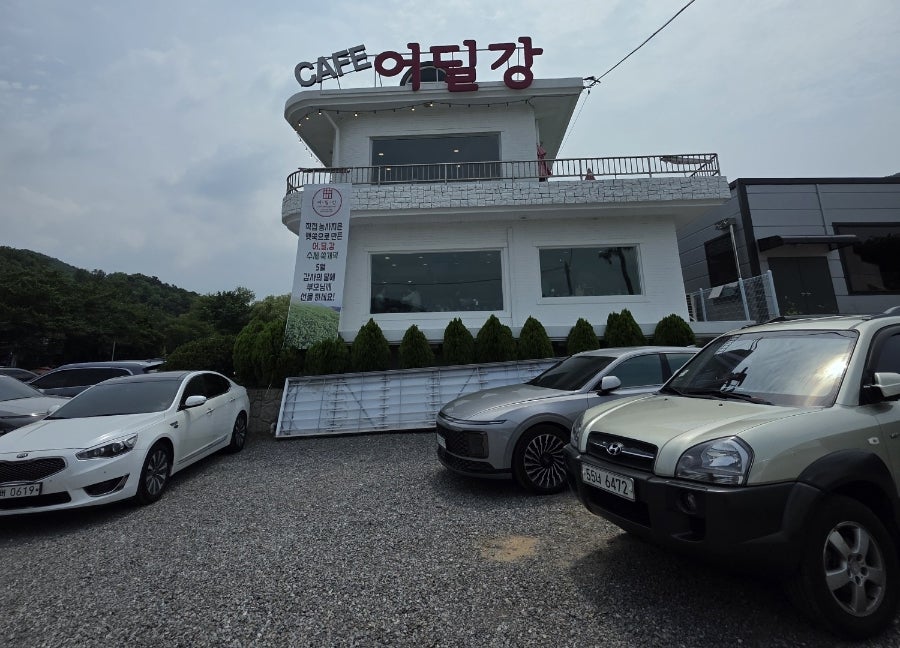 어딜강 사진 3