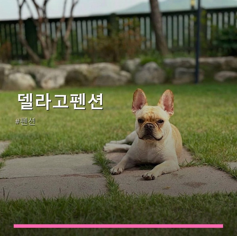 델라고펜션 사진 1