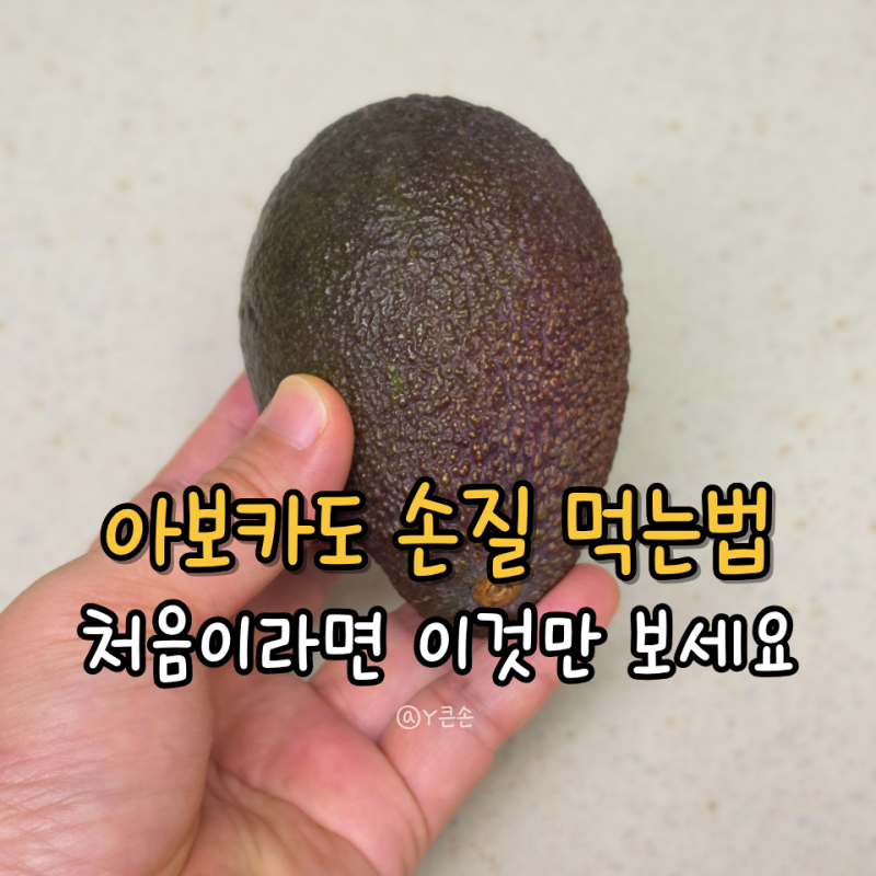 아보카도 먹는법, 손질법 까는법 자르는법 이것만 알면 끝!