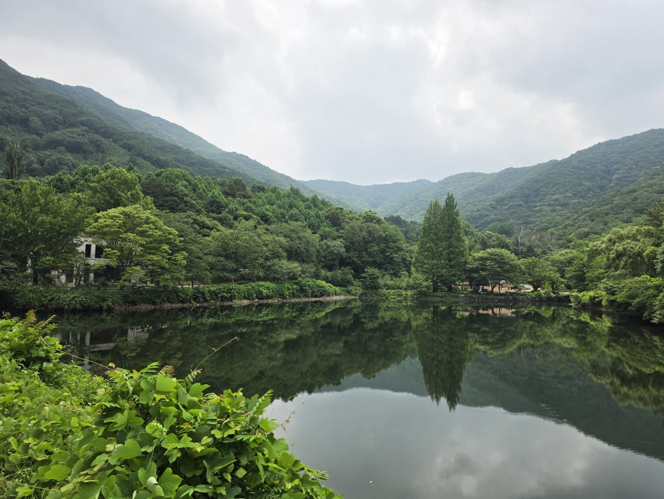 송곡지 사진 6