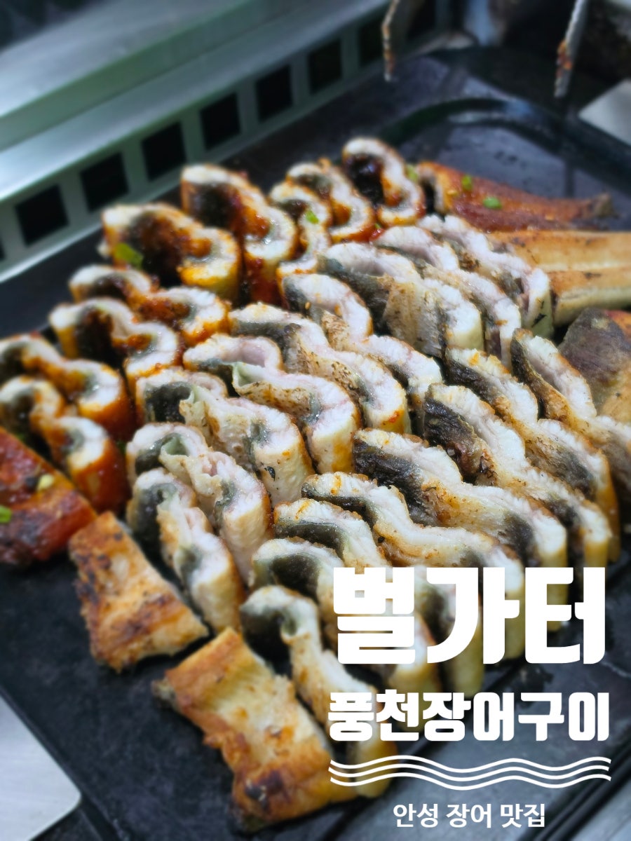 벌가터풍천장어구이 사진 1