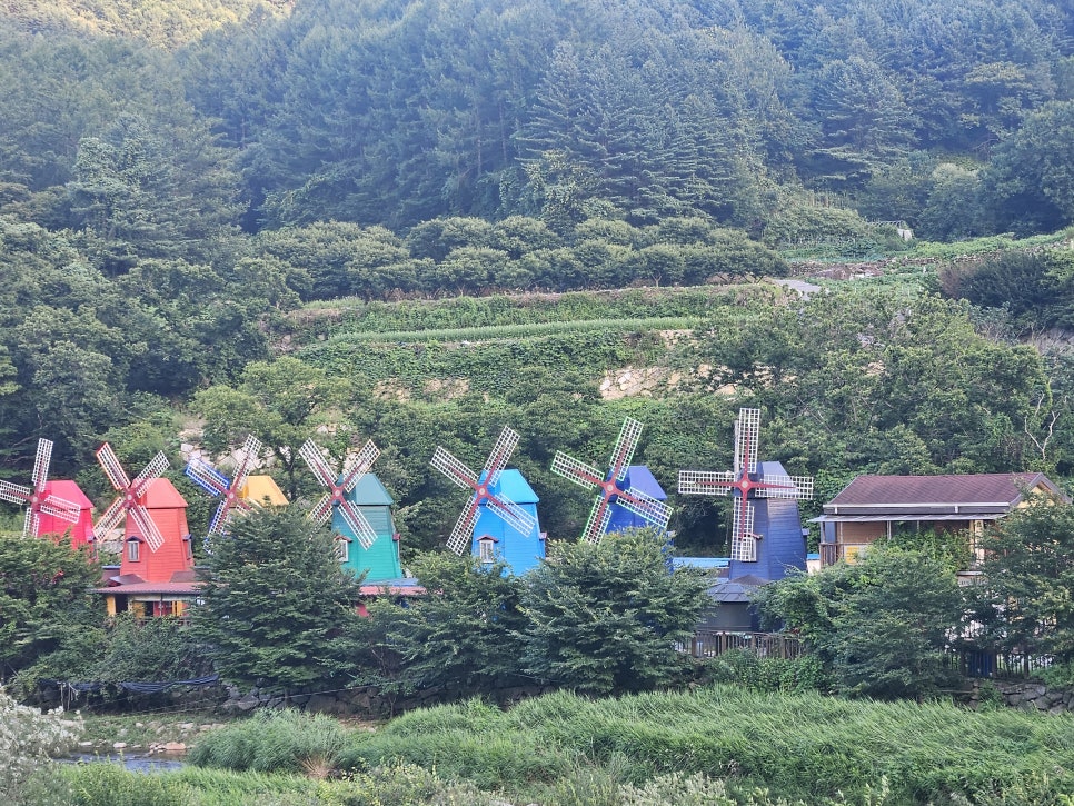 마리반점 사진 1
