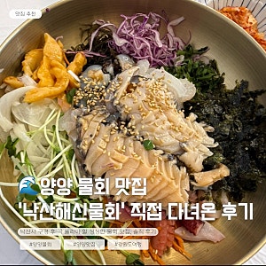 양양 물회 맛집 '낙산해신물회' 직접 다녀온 내돈내산 후기