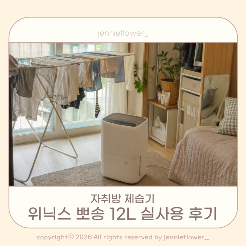 위닉스 제습기 뽀송 12L 실사용 후기 소음 물통 전기세 총정리
