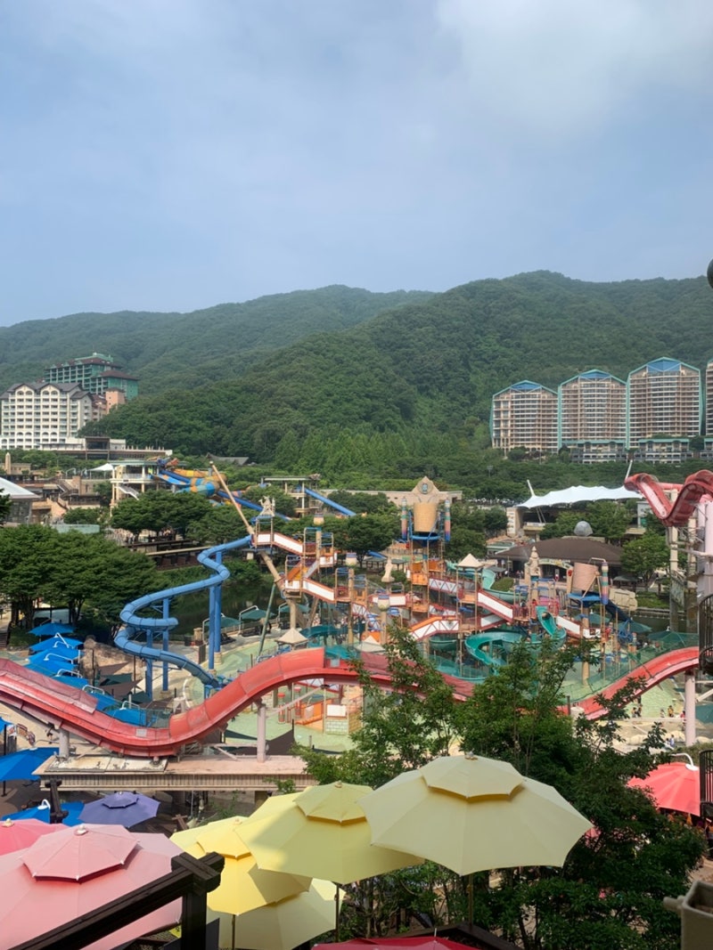 오션월드 꿀팁 총정리! 오픈런 성공법·주차·썬베드 추천 구역·대기시간·준비물