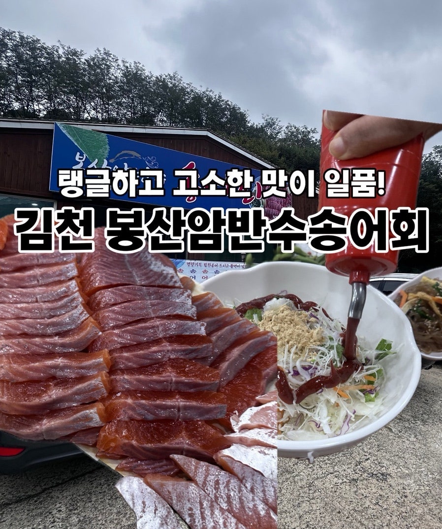 봉산암반수송어회 사진 1