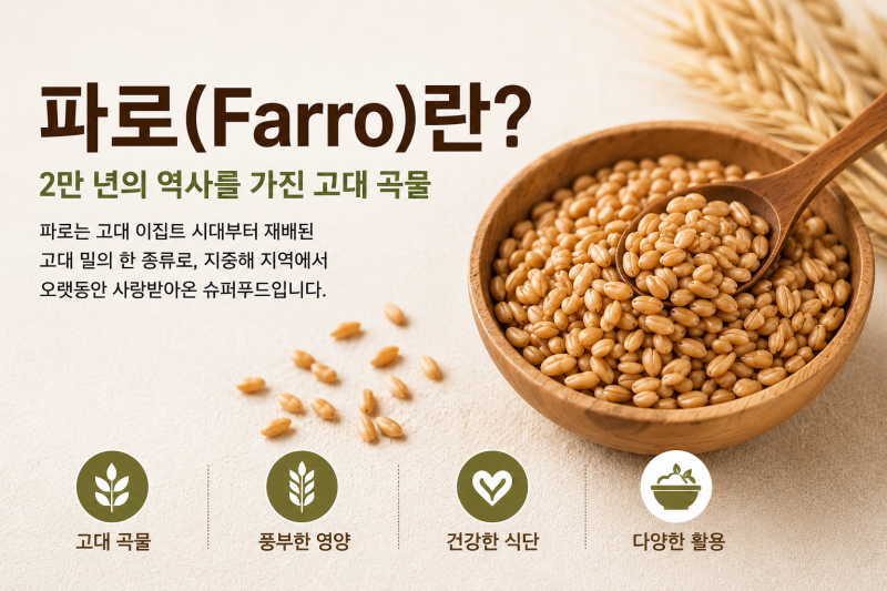 파로(Farro)란? 고대 곡물 파로가 슈퍼푸드로 주목받는 이유