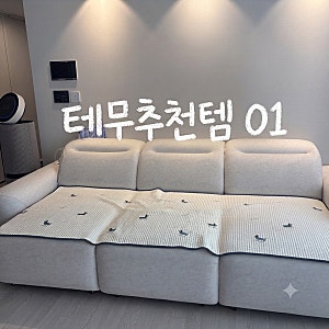 테무 집꾸미기 추천템 4인용 소파 패드 구입후기