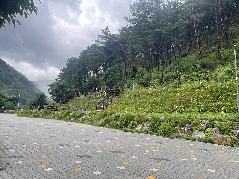 평창국민여가캠핑장 사진 3