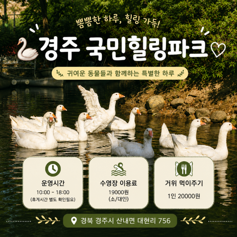 [경주 여행] 인생샷 장소로 추천 국민힐링파크 | 거위 먹이주기 | 경주힐링스팟 |카시오 작례 ....
