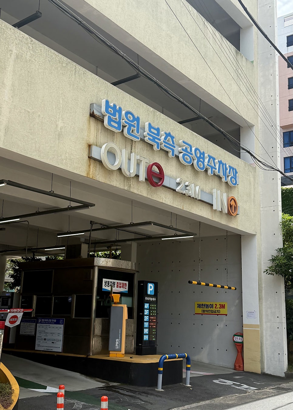 블라썸 사진 5