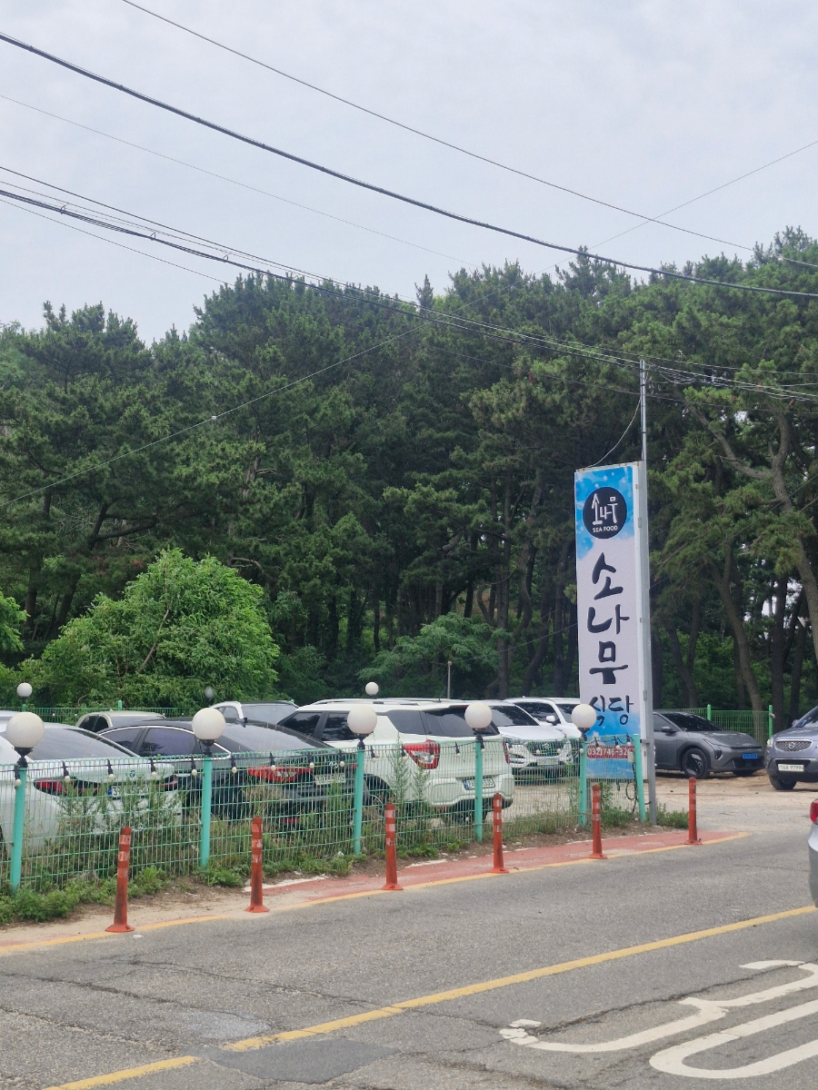 소나무식당 영종도점 사진 2