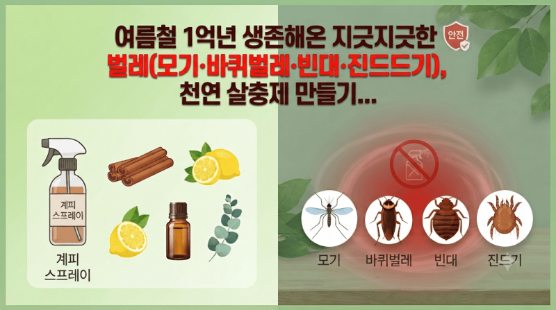 여름철 1억년 생존 지긋지긋한 벌레(모기·바퀴벌레·빈대·진드기), 천연 살충제 만들기...(+ ....
