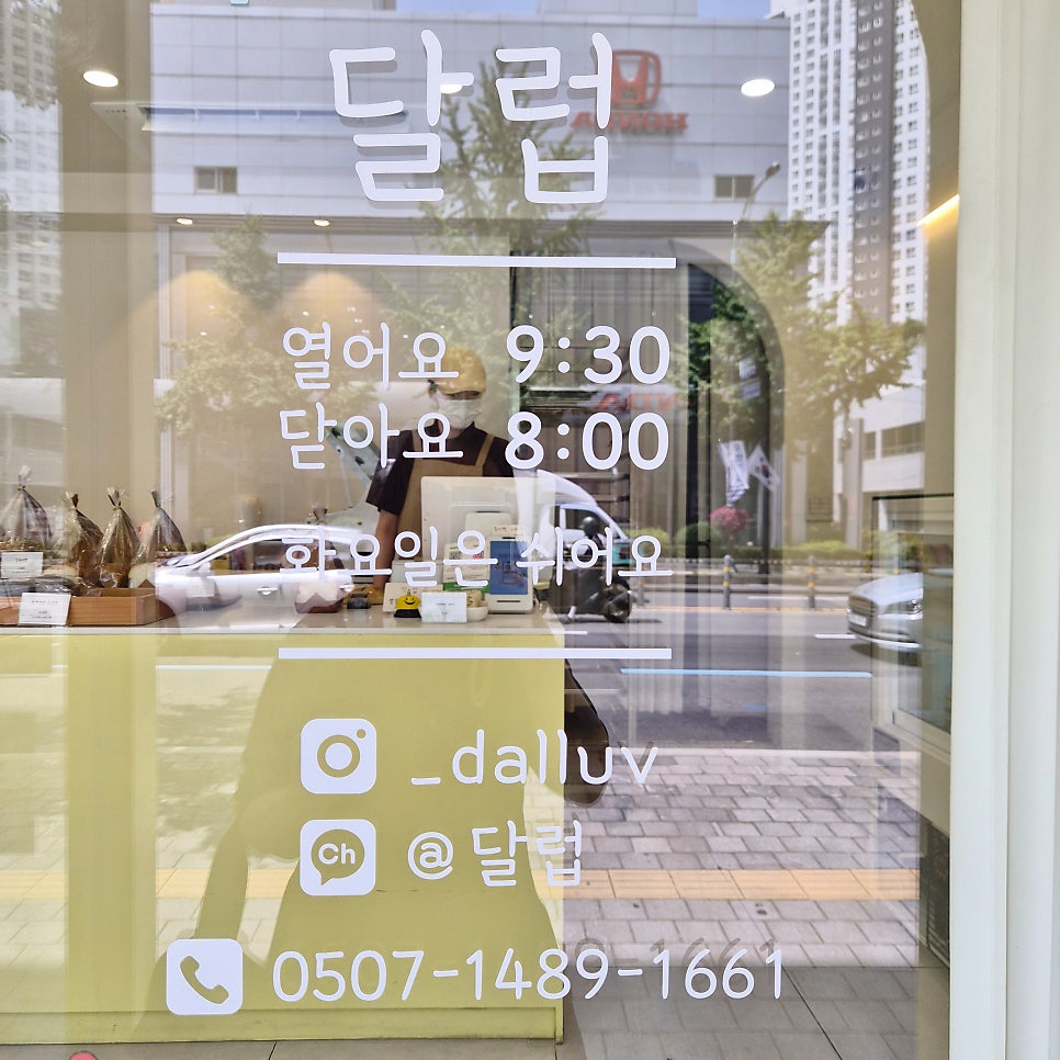 달럽 사진 2