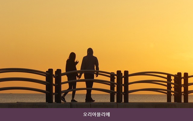 오리아뜰리에 사진 5