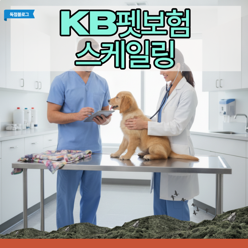 KB펫보험 스케일링 특약의 함정 강아지 구강치료비 청구했다 거절당한 이유?