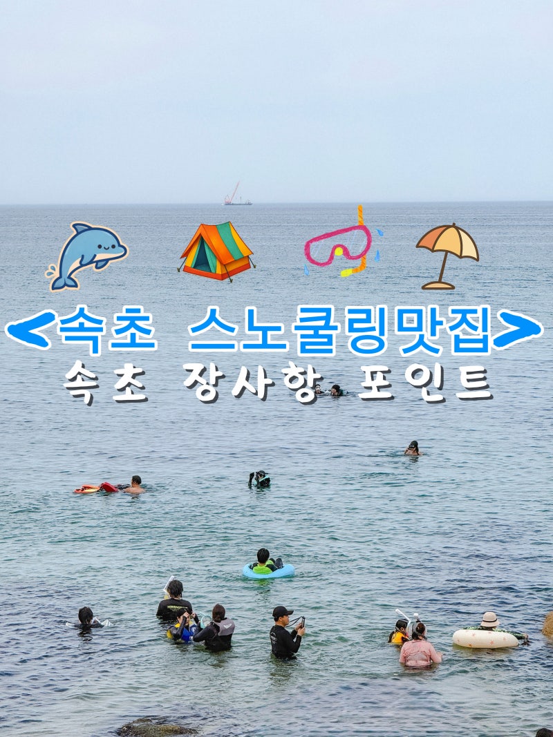 속초 장사항 스노쿨링 명소 속초 스노클링 스팟 포인트 물놀이 장소