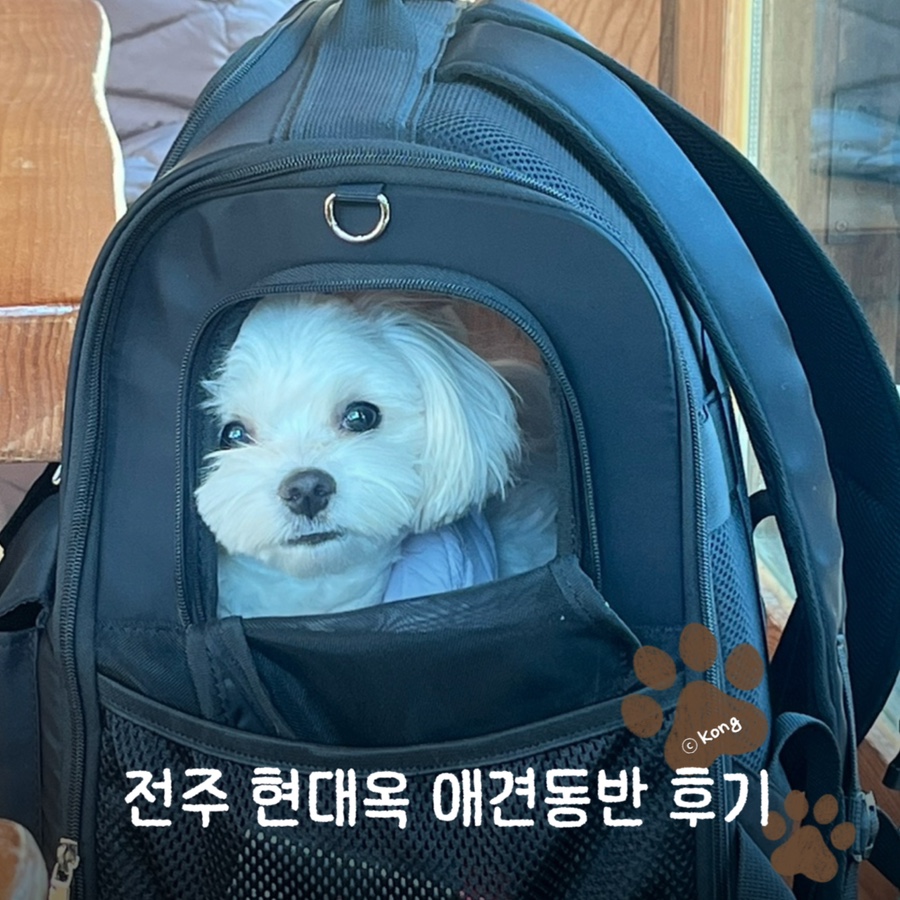 전주현대옥 남부시장점 사진 1