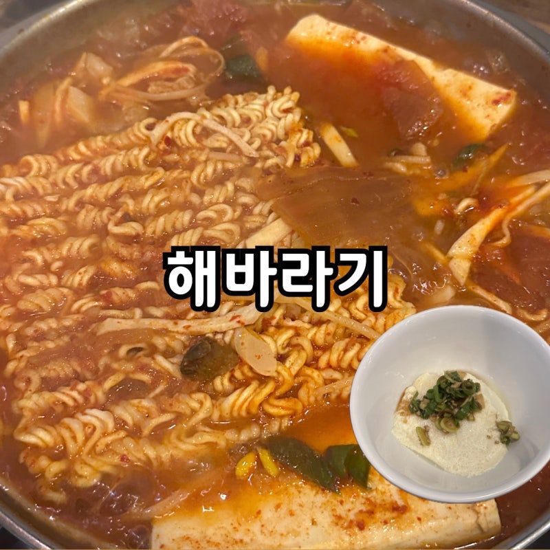 국회의사당/서여의도 해바라기 정우빌딩 점심 맛집 여의도 김치찌개 밥집 손두부 비빔밥 만....