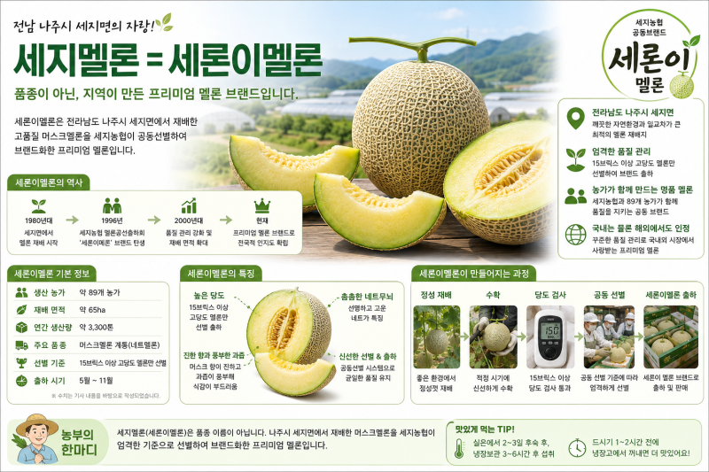 세지멜론, 세론이멜론은 품종이 아닙니다! 농부가 알려주는 진짜 이야기