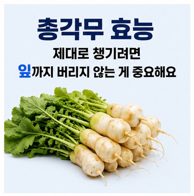 총각무 효능, 무청 칼슘과 보관법 함께 알아두면 쓸모 있는 실속 정보