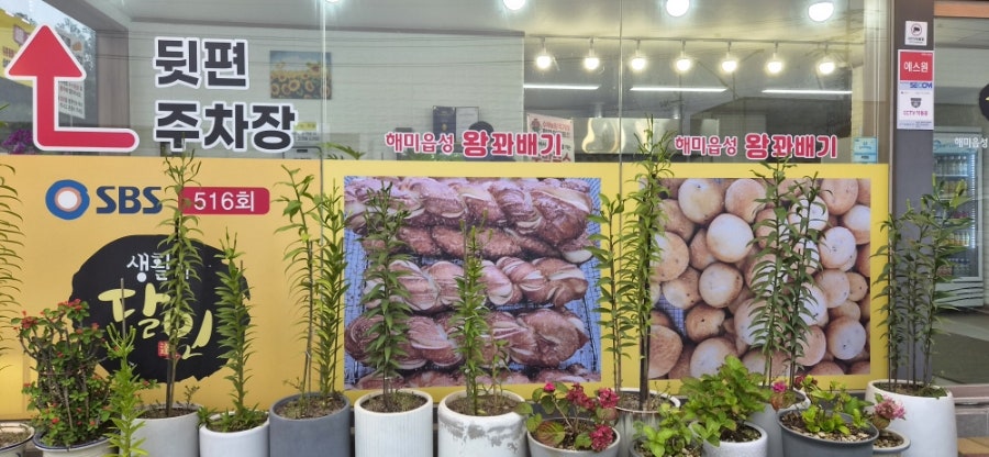 해미읍성 왕꽈배기 화성시화성로점 사진 3