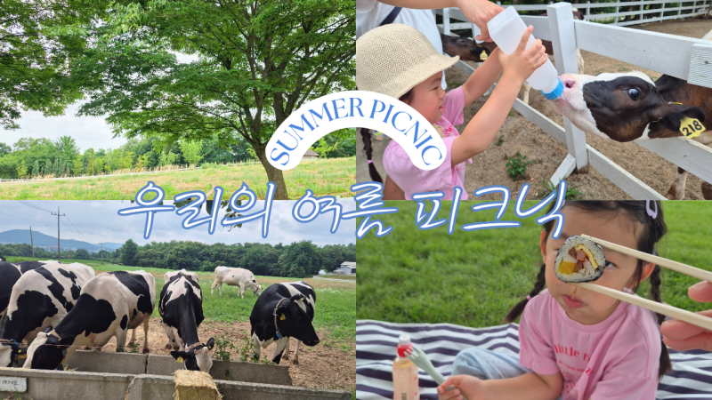 용인 아이와 가볼만한곳 농도원목장 예약 꿀팁과 준비물, 5세 아이 낙농체험