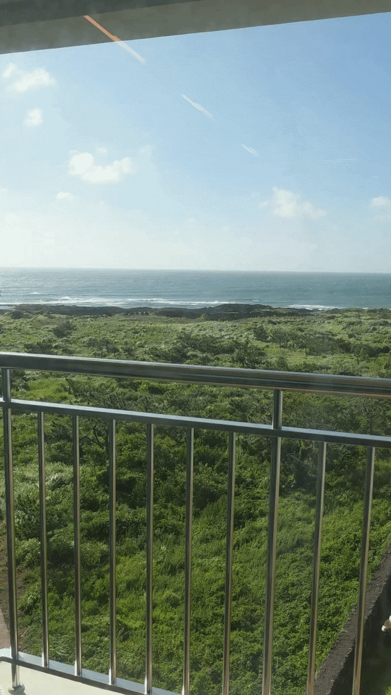 제주도 수영장 숙소 추천 오션뷰가 예쁜 제주 웨이브 호텔앤리조트