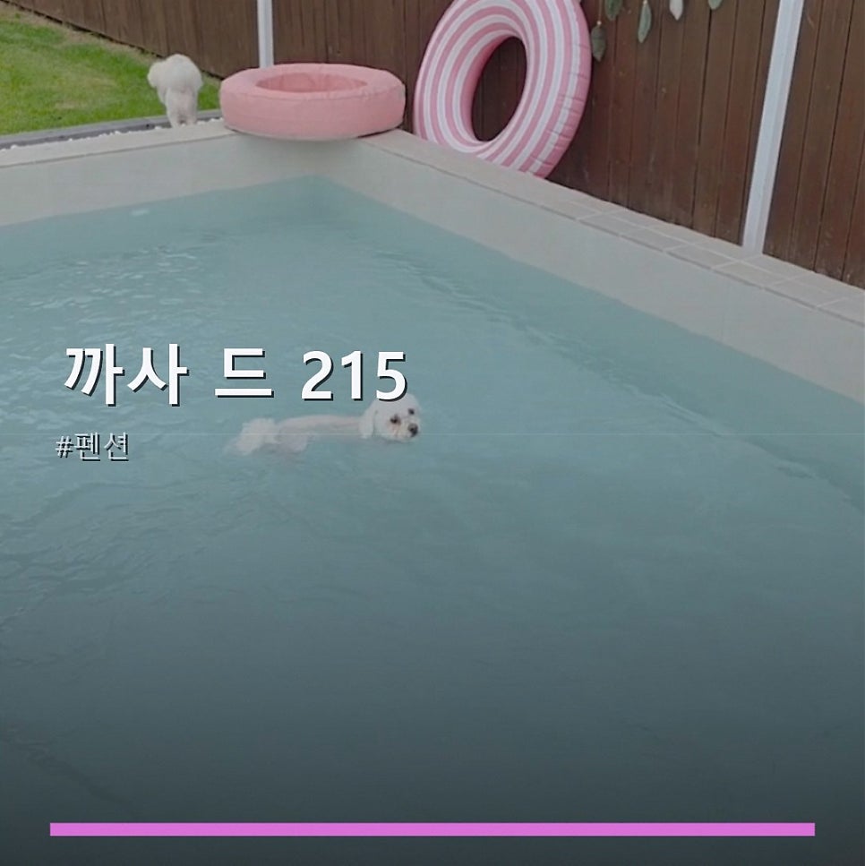 까사드215 사진