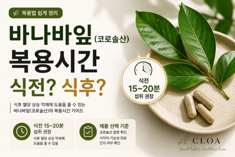 바나바잎(코로솔산) 복용시간 | 식전·식후 언제 먹는 것이 좋을까? 효능부터 제품 선택까지