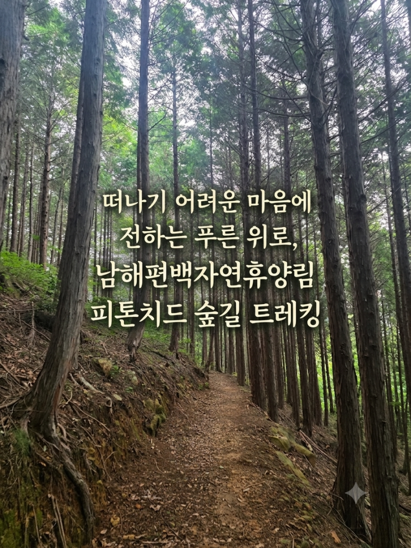 [남해 여행] 떠나기 어려운 마음에 전하는 푸른 위로, 남해편백자연휴양림 트레킹