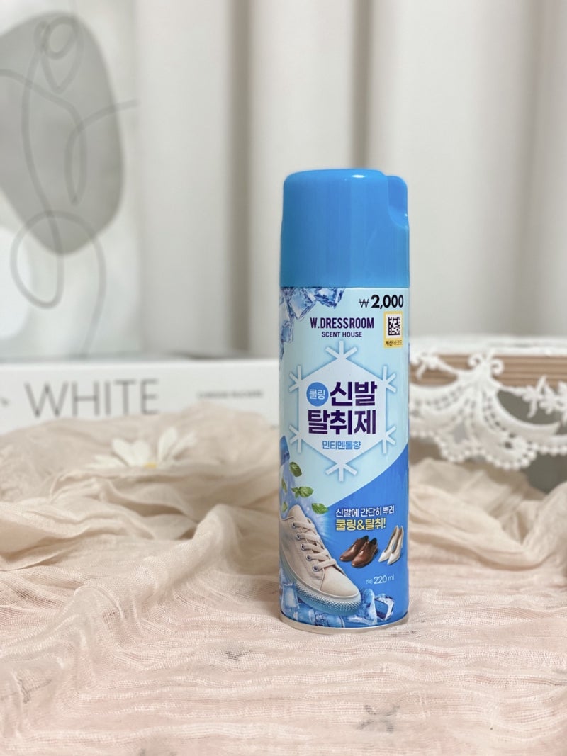다이소 갔다가 무심코 샀는데... 여름 발냄새 잡은 신발탈취제 만족!
